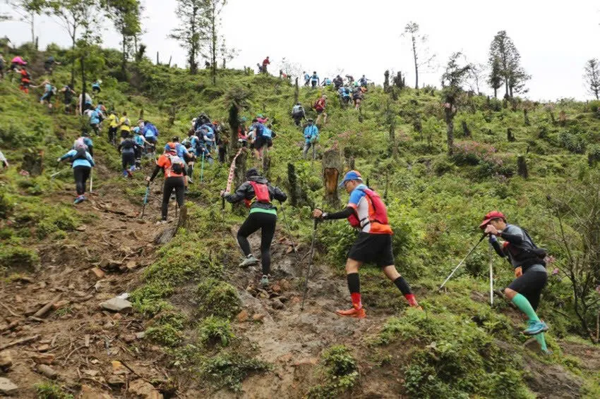 Cách lập kế hoạch cho một chuyến chạy trail