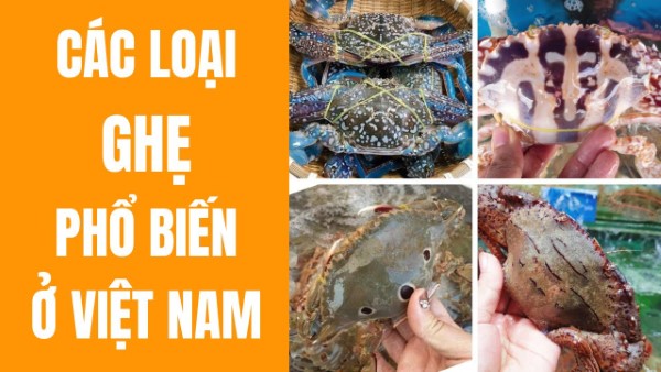 Phân tích calo trong các loại ghẹ khác nhau