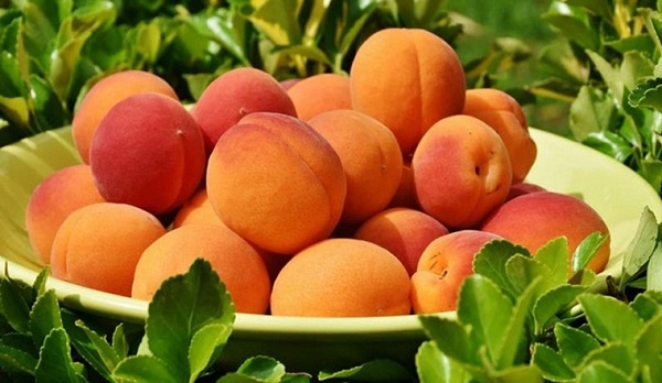 Đào giàu vitamin A, C, K, và các khoáng chất