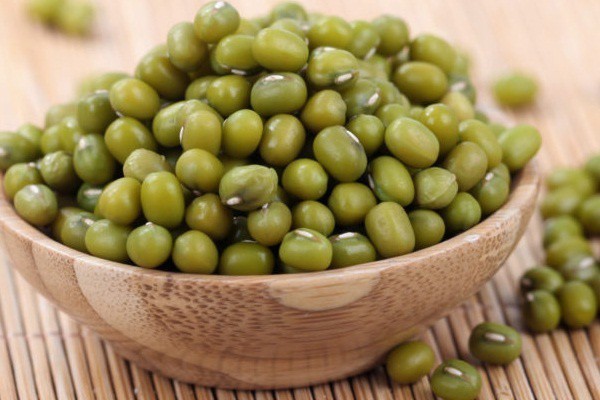 Đậu xanh (Vigna radiata)