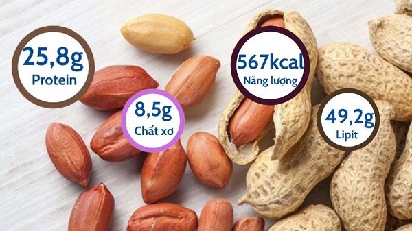 100gr lạc luộc chứa khoảng 567 calo