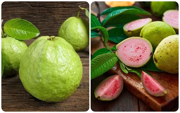 Trái ổi