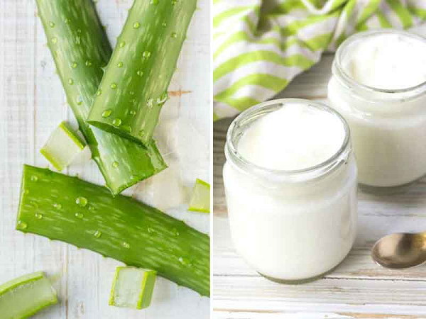 Lợi ích sức khỏe từ sữa chua nha đam